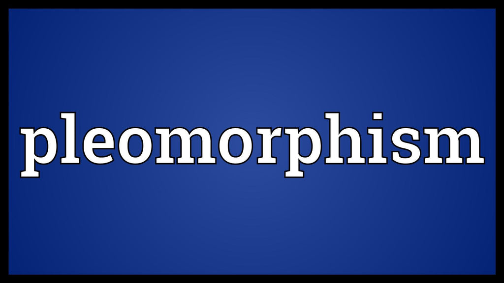 WHAT IS PLEOMORPHISM?